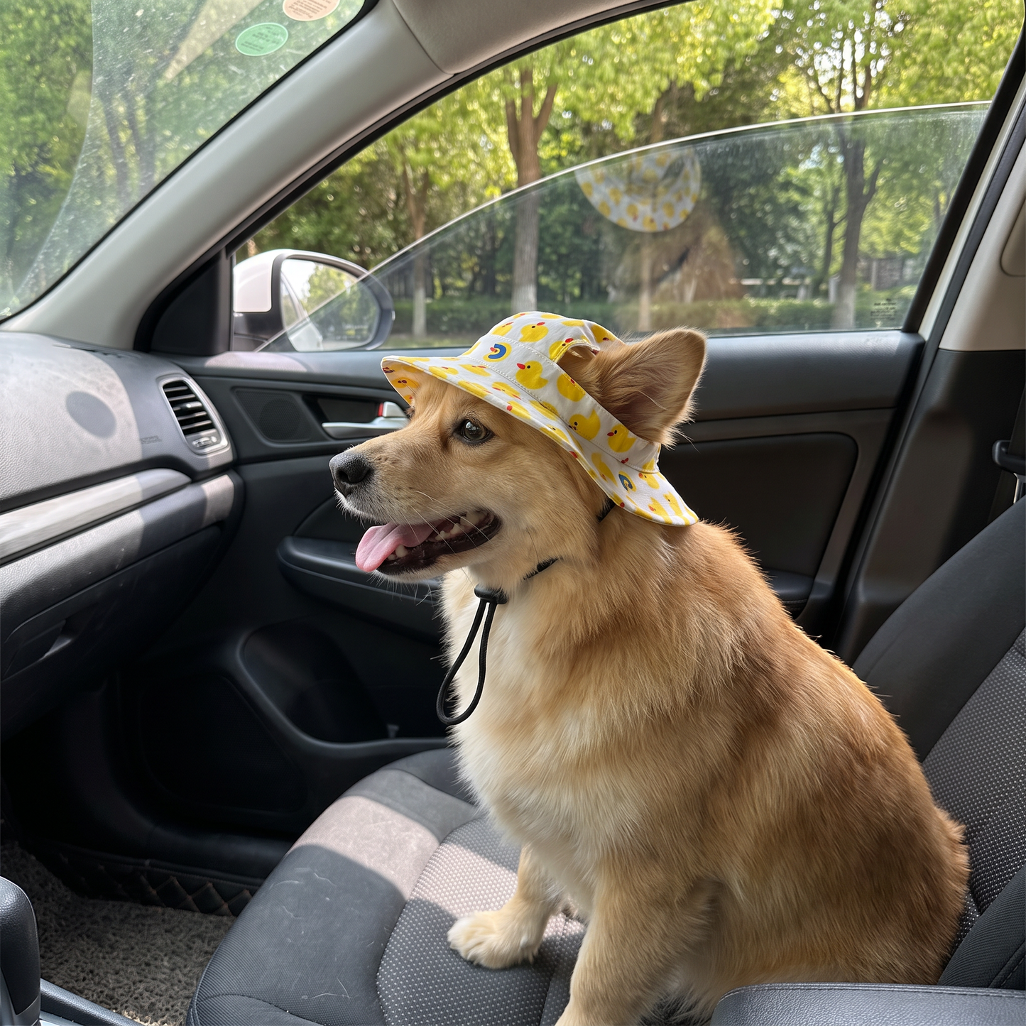 Pet Bucket Hat